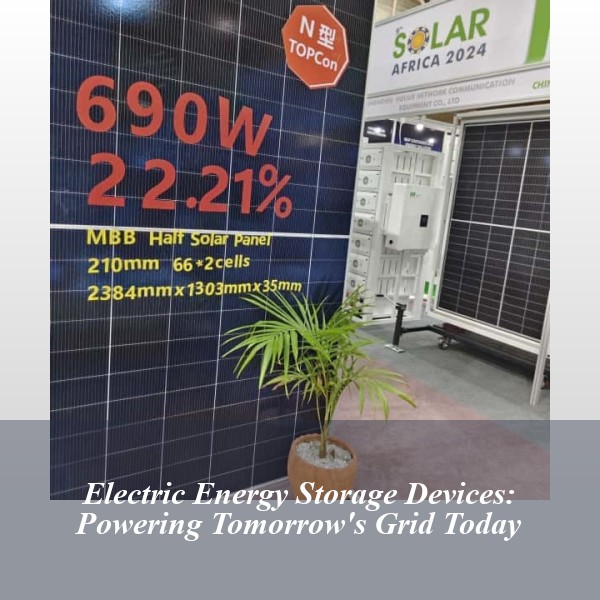 Electric Energy Storage Devices: Powering Tomorrow's Grid Today